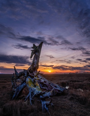 Dragon Sunset 2 by Dave Veith
