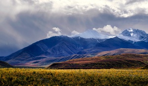 Denali Light & Colors by Dave Veith