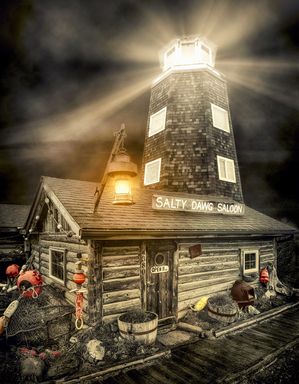 Salty Dawg Saloon by Dave Veith