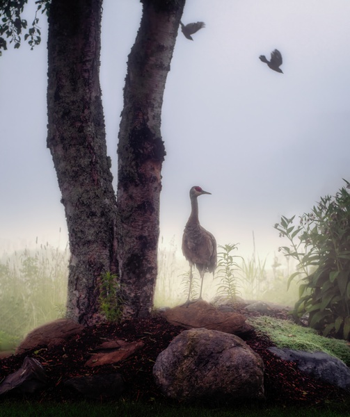 Storybook Morning Print