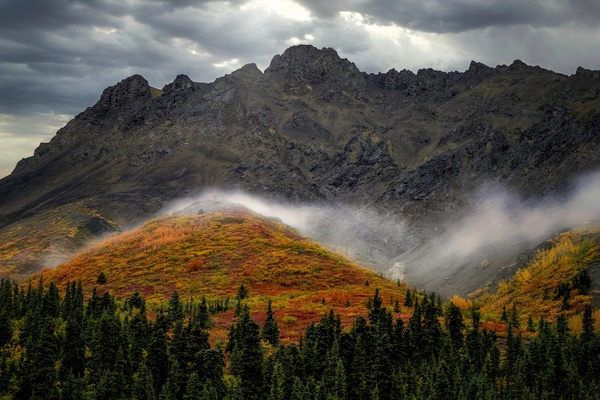 Fall Colors & Mist Print