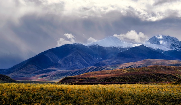 Denali Light & Colors Print
