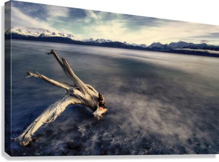 Misty Bay  Canvas Print