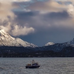 Crabbing Voyage