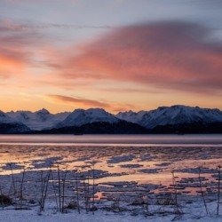 Kachemak Icy Sunrise