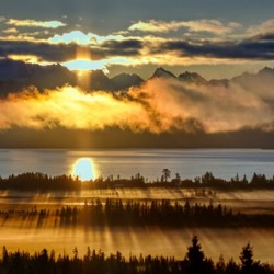 Sunrays and Trees