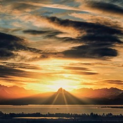 China Poot Sunrise