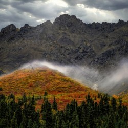 Fall Colors & Mist