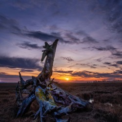 Dragon Sunset 2