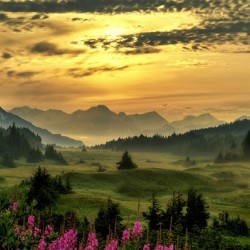 Turnagain Pass Summer
