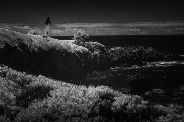 Yaquina Head Lighthouse from the North – Infrared Black and White by Kathleen Reed