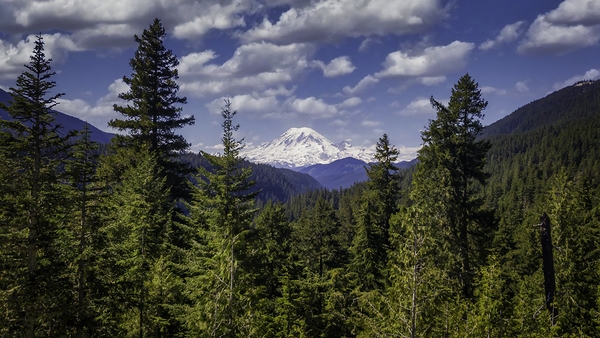 Mount Rainier in the Cascade Range in Washington by Kathleen Reed