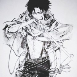 Levi Ackerman