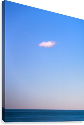 Solitude Canvas Print