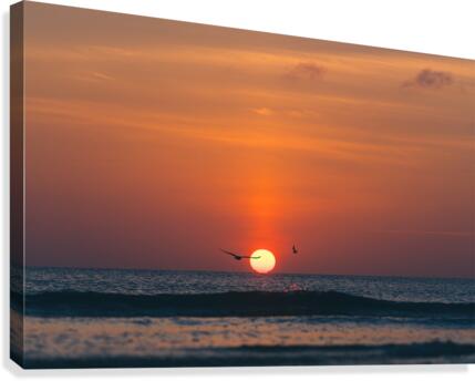 Icarus  Canvas Print