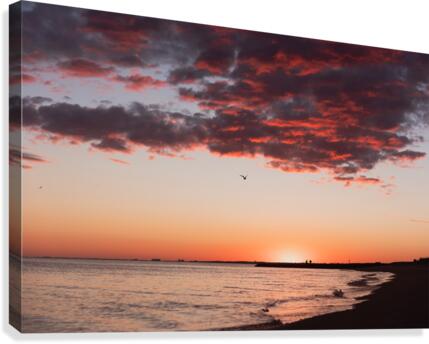 Be Free Canvas Print