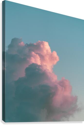 Fluffhead Canvas Print