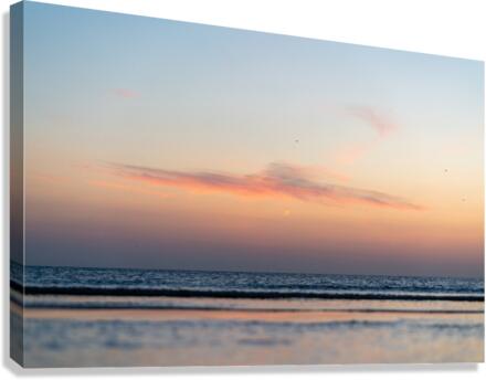 Creation 2 Canvas Print