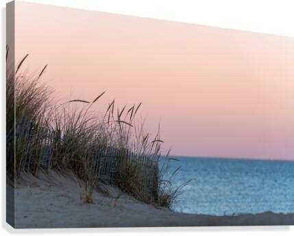 With Me Canvas Print
