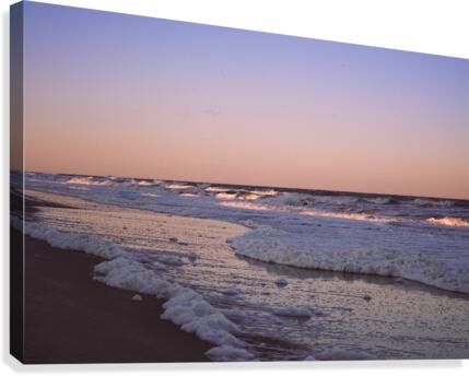 Freeze Canvas Print