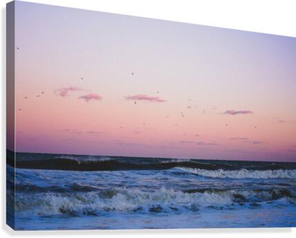 Dusk Canvas Print