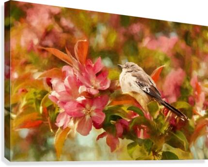 Sparrow In The Apple Tree Canvas Print