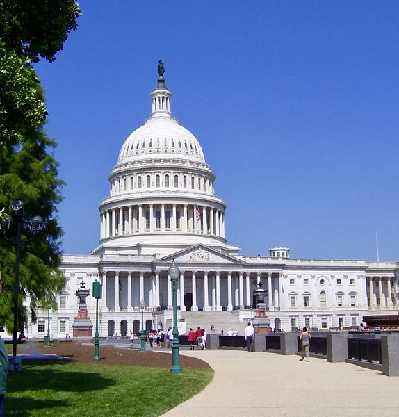 Capitol Building  Print