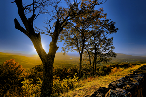 Shenandoah Sunset Behind The Tree