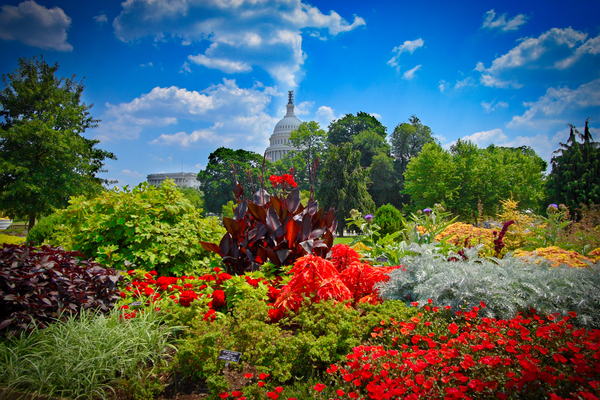 Botanical Garden Print