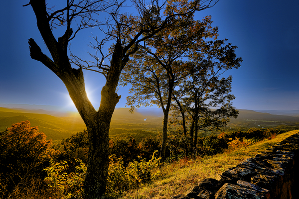 Shenandoah Sunset Behind The Tree by Ronald Gilbert Baker