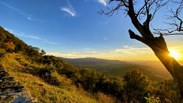 Shenandoah Sunset Behind Tree by Ronald Gilbert Baker