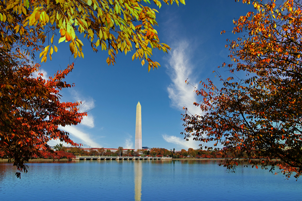 Washington Monument Print
