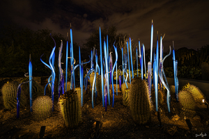 Blue Glass Chihuly