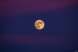 Magnificent Moon