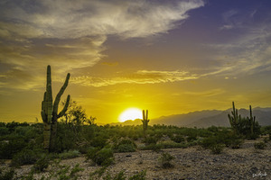 Sunset Over Verrado