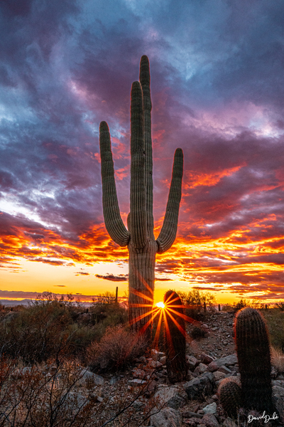 Setting Sun at Lost Dog by SoapBoxintheSky