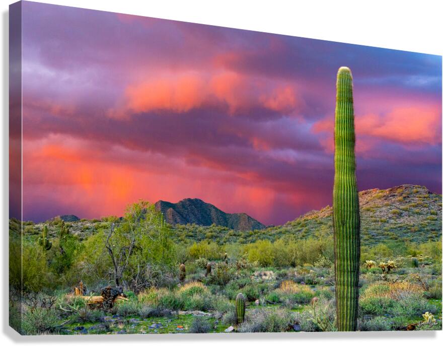 Rain Over McDowell Canvas Print