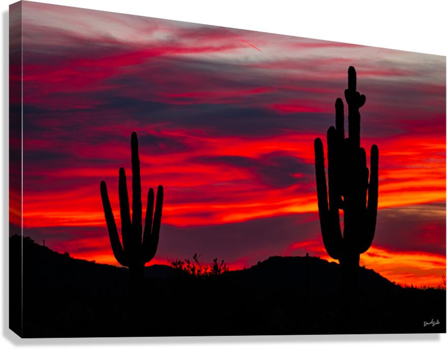 Red Dusk Canvas Print
