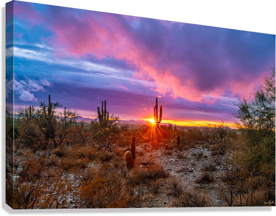 Star Setting Canvas Print