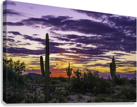 Under the Setting Fire Canvas Print