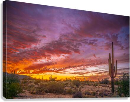 Blazing Sky Canvas Print