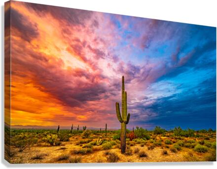 Fire and Ice Canvas Print