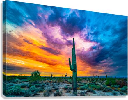 Color Explosion Canvas Print