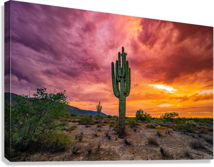Goddess in Glory Canvas Print