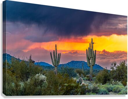 Into Clouds Canvas Print