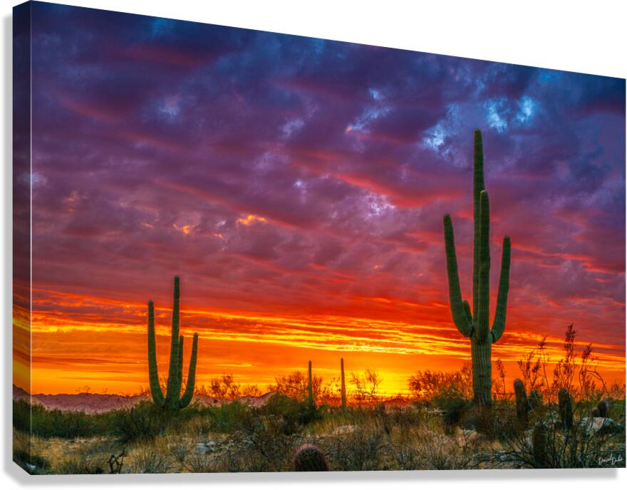 Burning Sunset Canvas Print