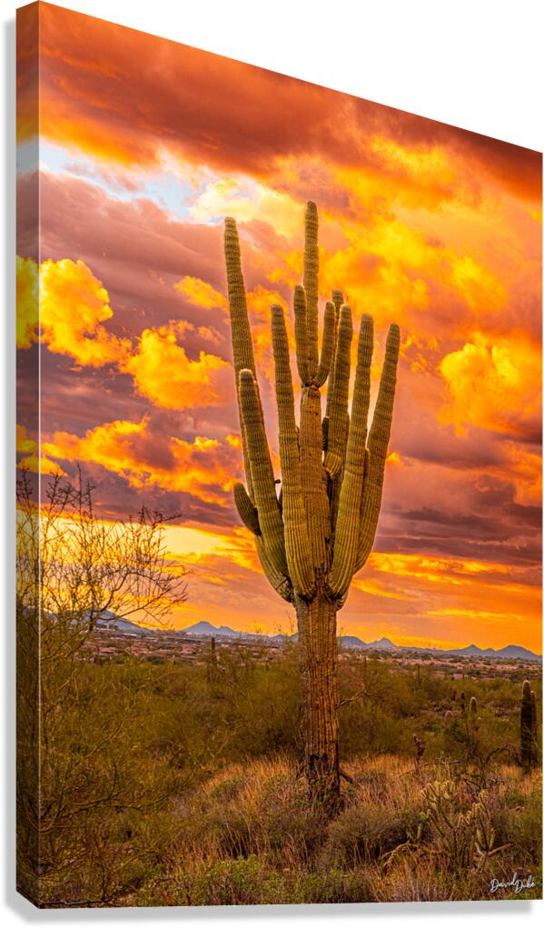 Fire & Brimstone  Canvas Print
