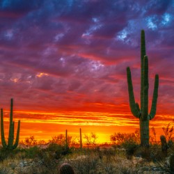 Burning Sunset
