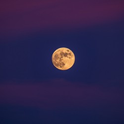 Magnificent Moon