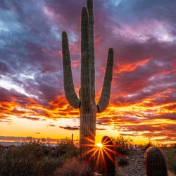 Setting Sun at Lost Dog